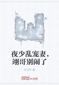 夜少乱宠妻，翊哥别闹了
