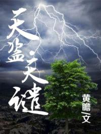 天盗天谴