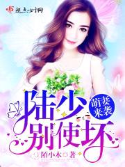 萌妻来袭:陆少,别使坏!