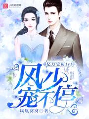 亿万宝贝1v1:风少,宠不停!