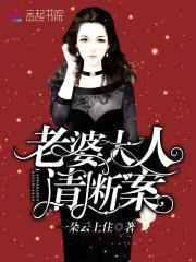 老婆大人,请断案