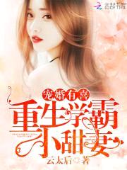 宠婚有喜:重生学霸小甜妻