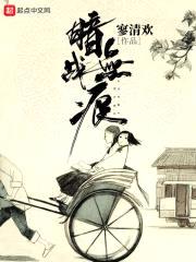 民国谍王