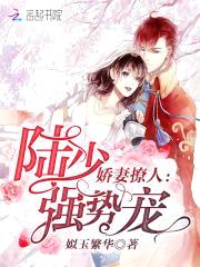 娇妻撩人:陆少强势宠