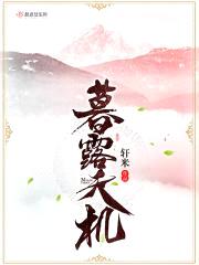 暮露天机
