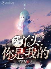 男神撩上瘾：丫头，你是我的
