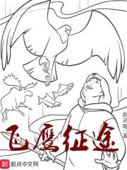 飞鹰征途