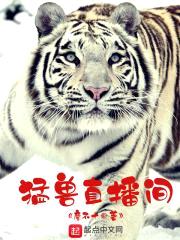 猛兽直播间