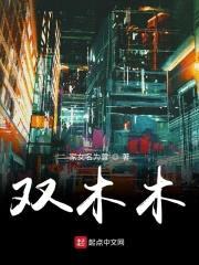 灵界之主之双灵