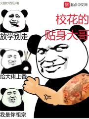 校花的贴身大哥