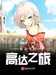 某呆毛的高达之旅