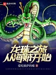 龙珠之旅从海贼开始
