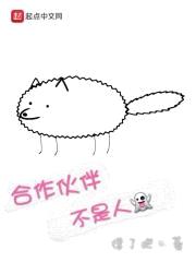 合作伙伴不是人