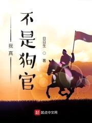 极品佞臣