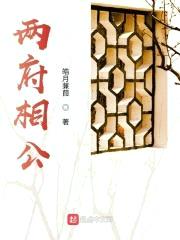 两府相公