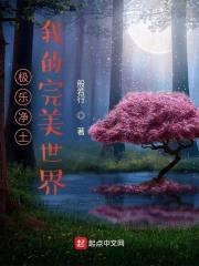 完美圣君