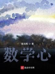数学大帝