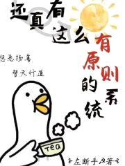 还真有这么有原则的系统