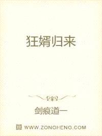 狂婿归来纵横都市