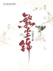 繁尘锦