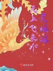 天上飞来个灵meimei