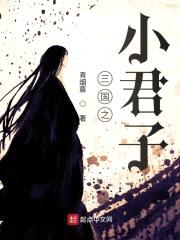 三国之小君子