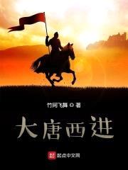合约赘婿