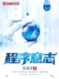 程序意志
