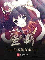 兰斯风云进化录