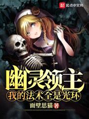 幽灵领主:我的法术全是光环