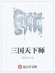 三国天下师