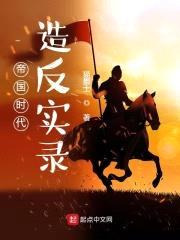 帝国时代造反实录