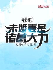 我的未婚妻是诸葛大力