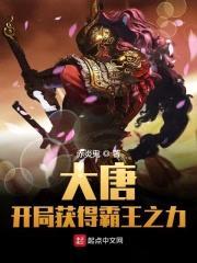 大唐:开局获得霸王之力