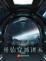 诸天:模因系统