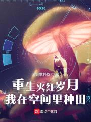 重生火红岁月,我在空间里种田