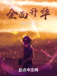 全面升华