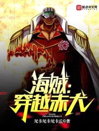 海贼:穿越赤犬