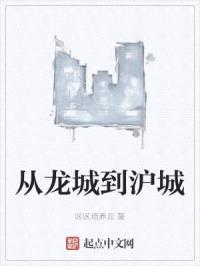 从龙城到沪城