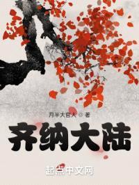齐纳大陆
