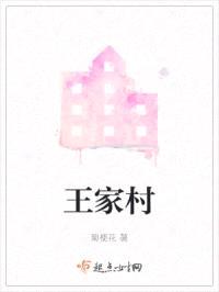 王家村