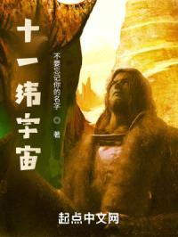 十一纬宇宙