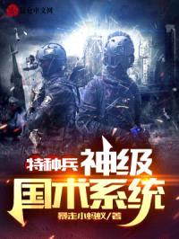 特种兵:神级国术系统