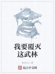 我要覆灭这武林