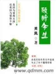 顾盼今生