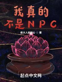 我真的不是NPC