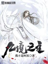 九境之主