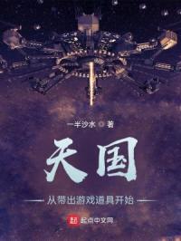天国：从带出游戏道具开始
