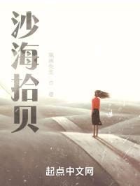 沙海拾贝