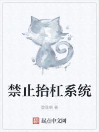 禁止抬杠系统